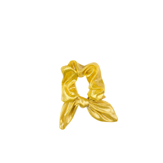 Scrunchie Dublin Brilho